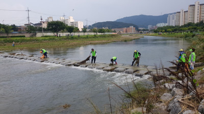 7.21 남천2.jpg