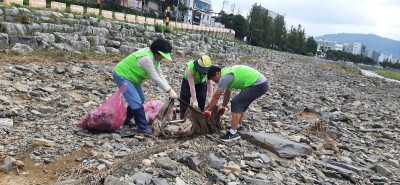 8.14 탄소4.jpg