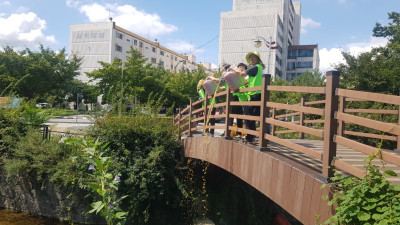 9.8 투척2.jpg