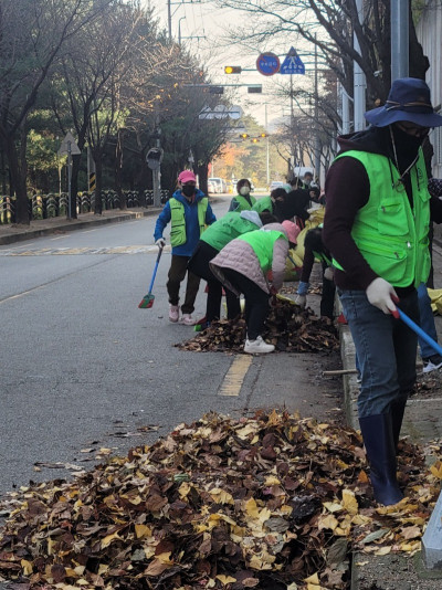 자연보호  경상북도협의회_사진_20241120_13.jpg