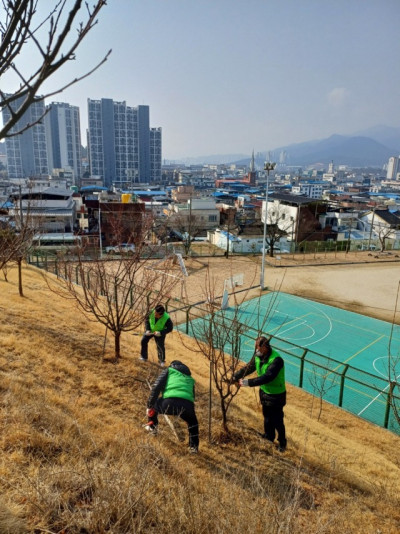 자연보호  경상북도협의회_사진_20250313_4.jpg