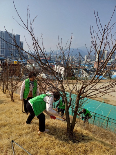 자연보호  경상북도협의회_사진_20250313_6.jpg