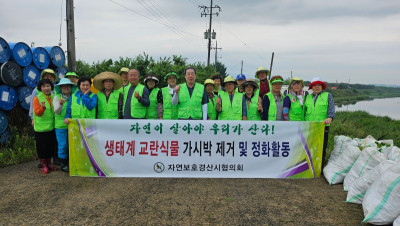 7.17 가시박1.jpg
