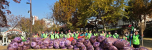 11.28 정화활동1.jpg